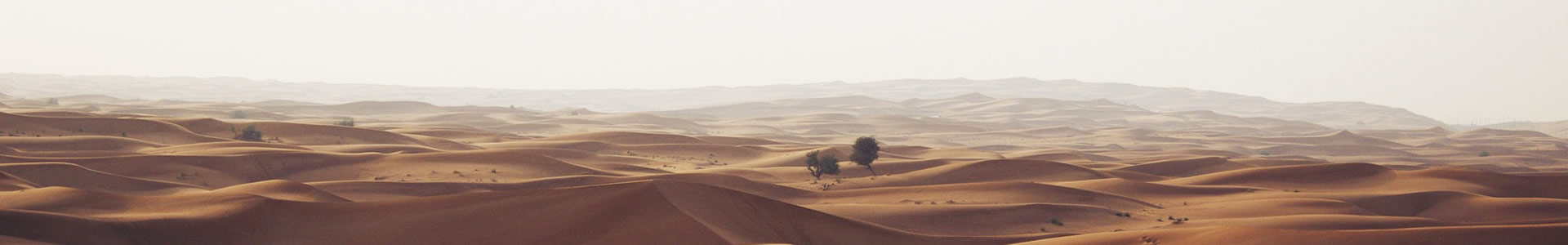 Ĵʡ;γƼ޹˾